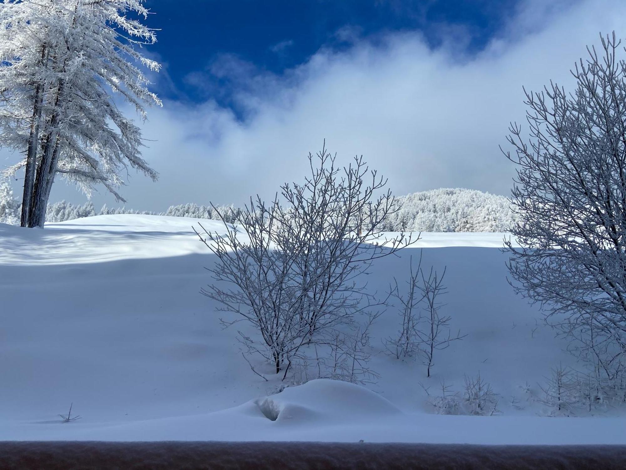 Pied Des Pistes, 2 Pieces, 6Pers, Piscine Et Sauna Risoul Eksteriør billede